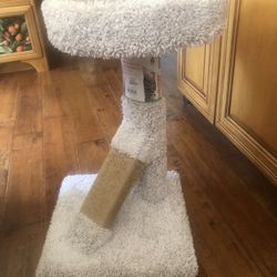 Cat/Kitty Furniture 