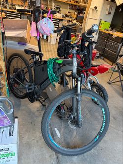 48v e-bike schwinn with suspension