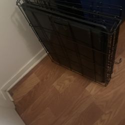Dog Crate 