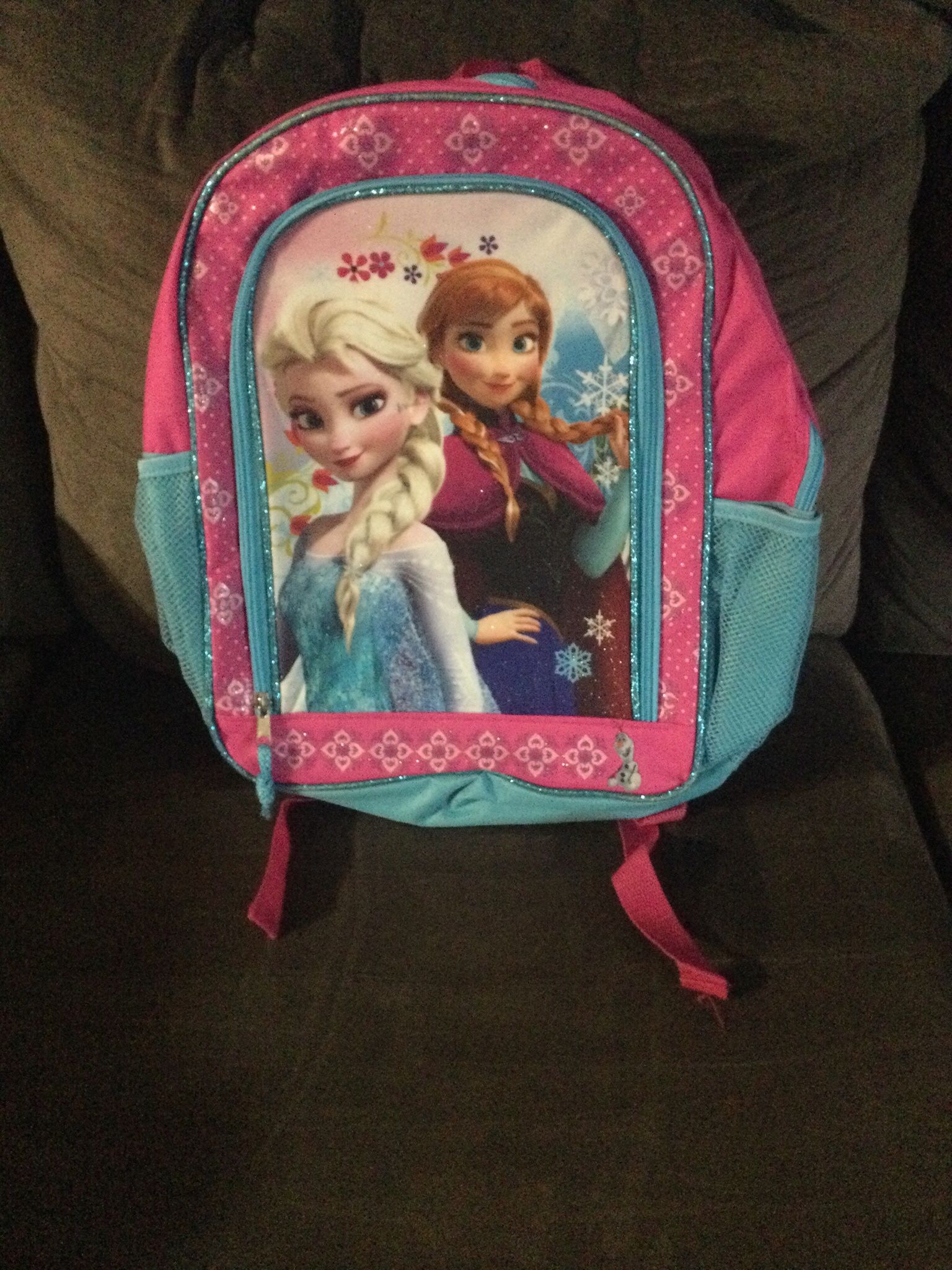 Frozen Bookbag