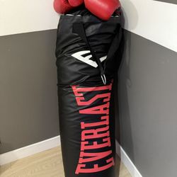Boxing punching Bag 80 Pounds 