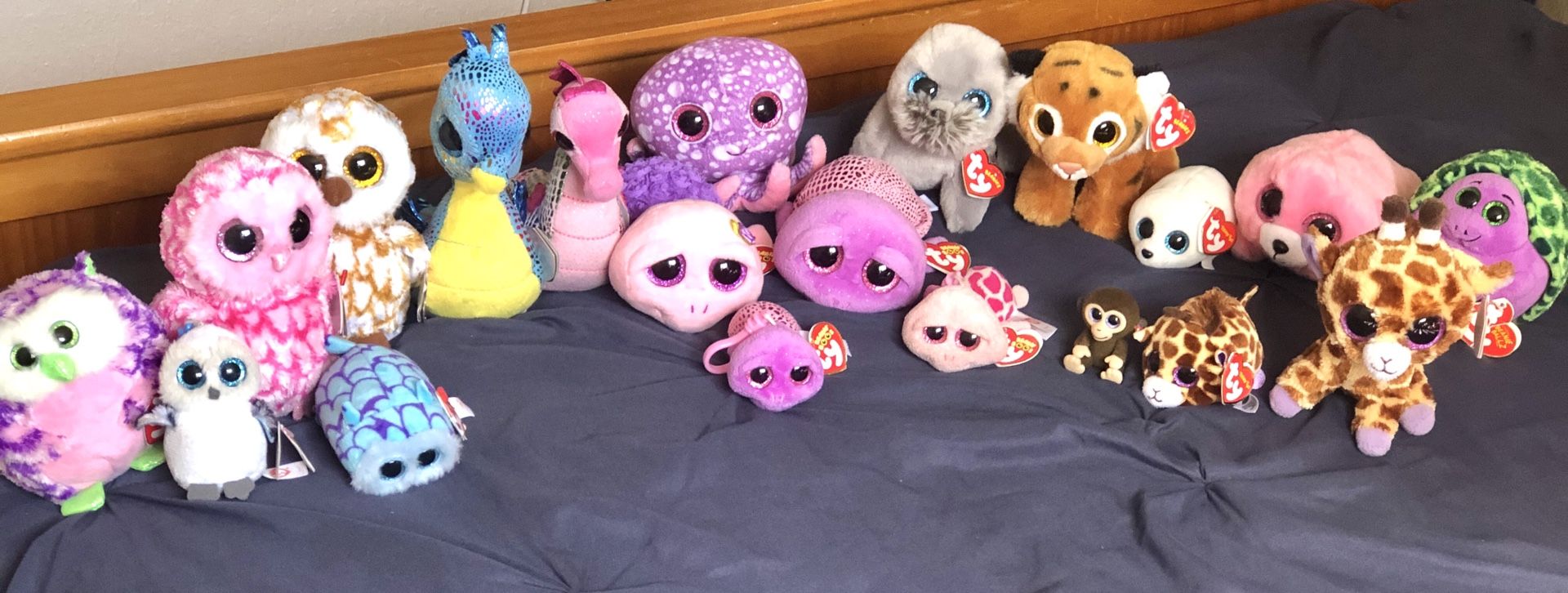 Beanie Babies Collection