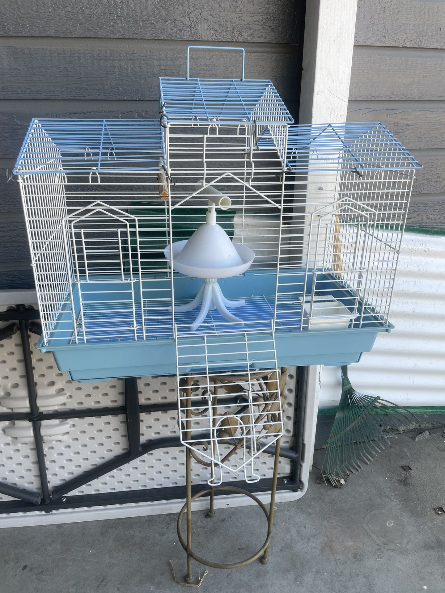 Bird’s Cage