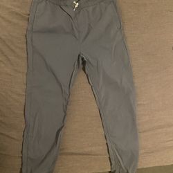 Levi Jogger Pants