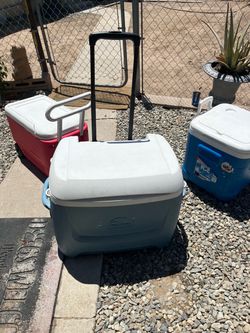 ICE CHEST $30