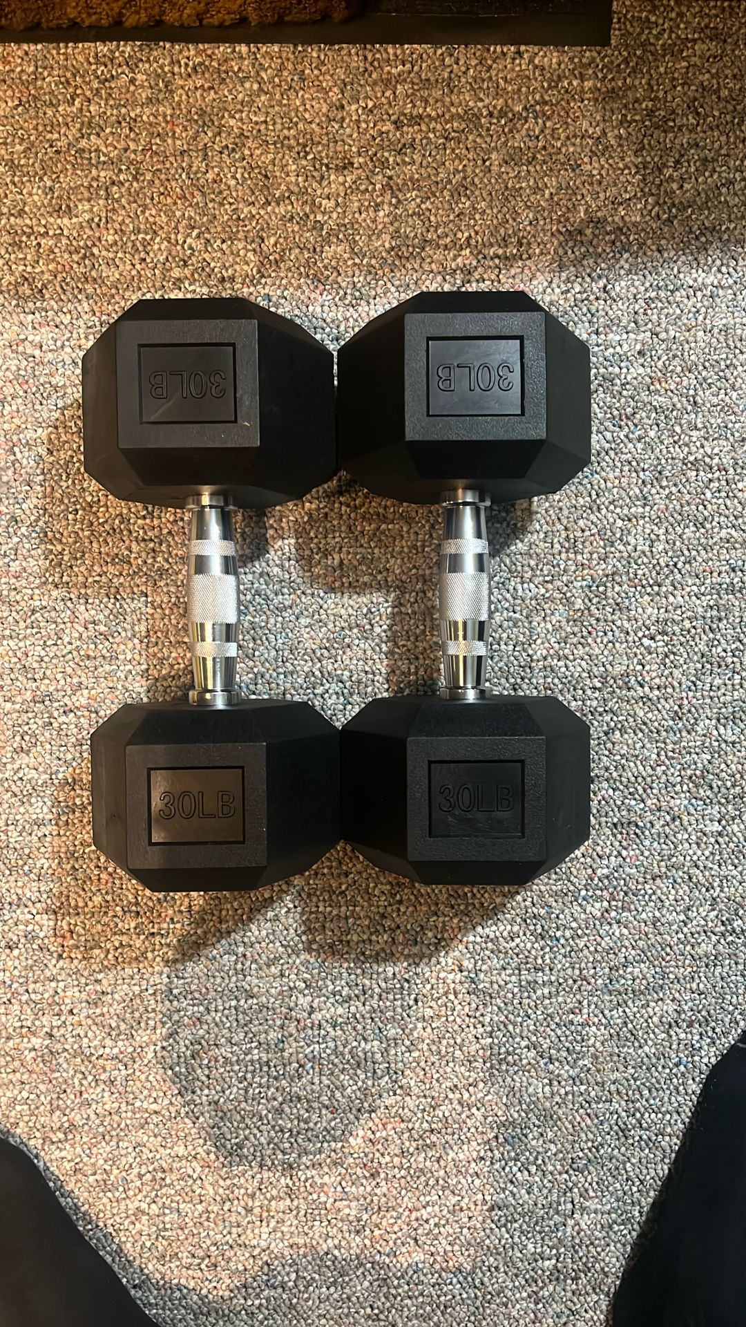 30 Pound Dumbbell Pair