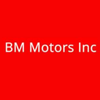 BM MOTORS INC