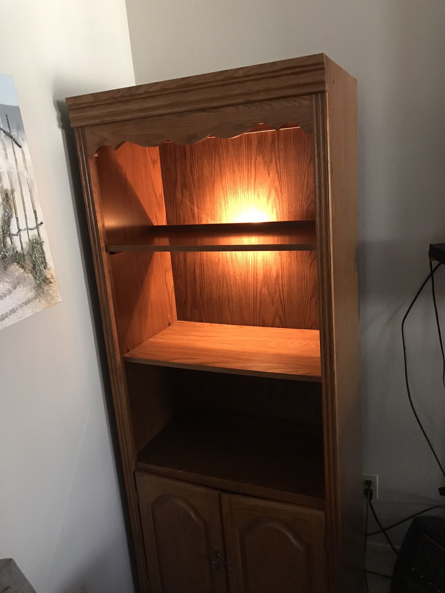 Multipurpose shelf/cabinet with light.