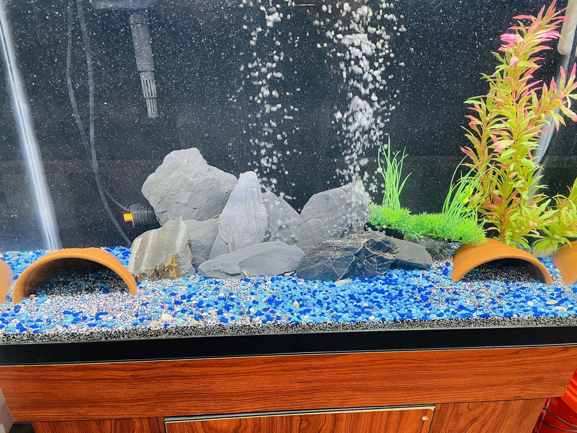 Fish Tank