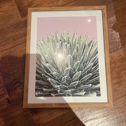 Project 62 Framed Art Under Glass