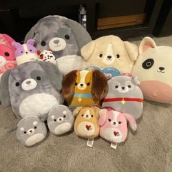 Squishmallow Dog Bundle! 