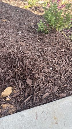 Free dirt. Free Bark.