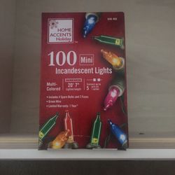 100 mini incandescent lights multi color