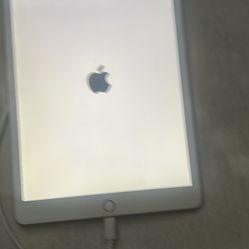 Apple Ipad Pink