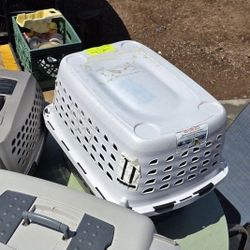 Dog Kennels