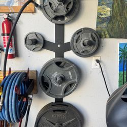 Complete Olympic Weight Set + Barbell + Wall Plate Rack – Garage Gym Bundle