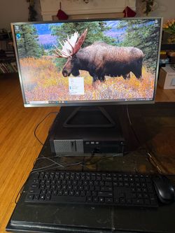 Dell OptiPlex 3020 Complete Desktop Bundle – 16GB RAM + 512GB SSD