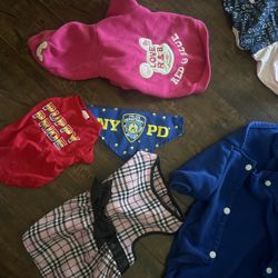 cat or dog clothes for boy and girl