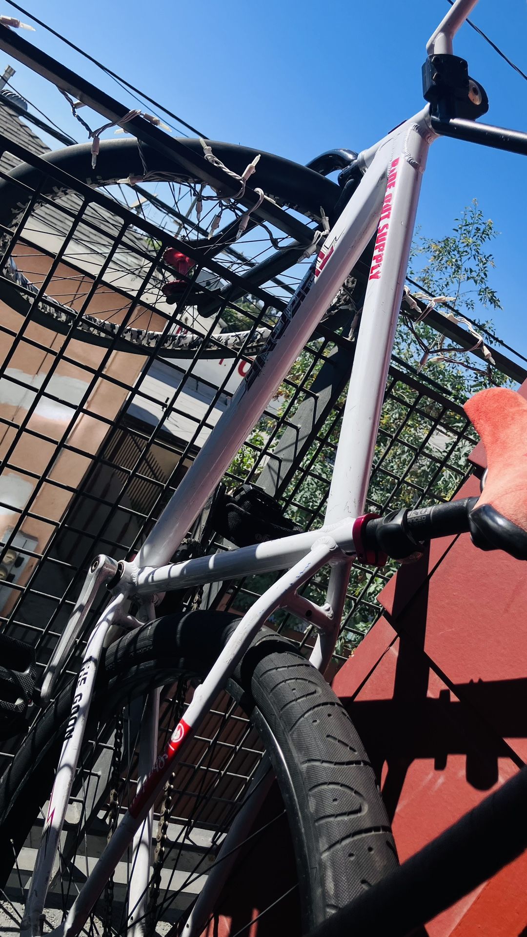 THRONE 29er The GOON