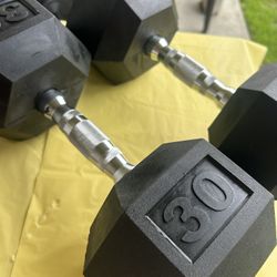 60 pounds weight 30 pounds each