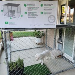 Dog Kennel