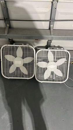 Fan
