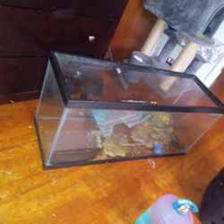 Fish Tank With Decorative Items 