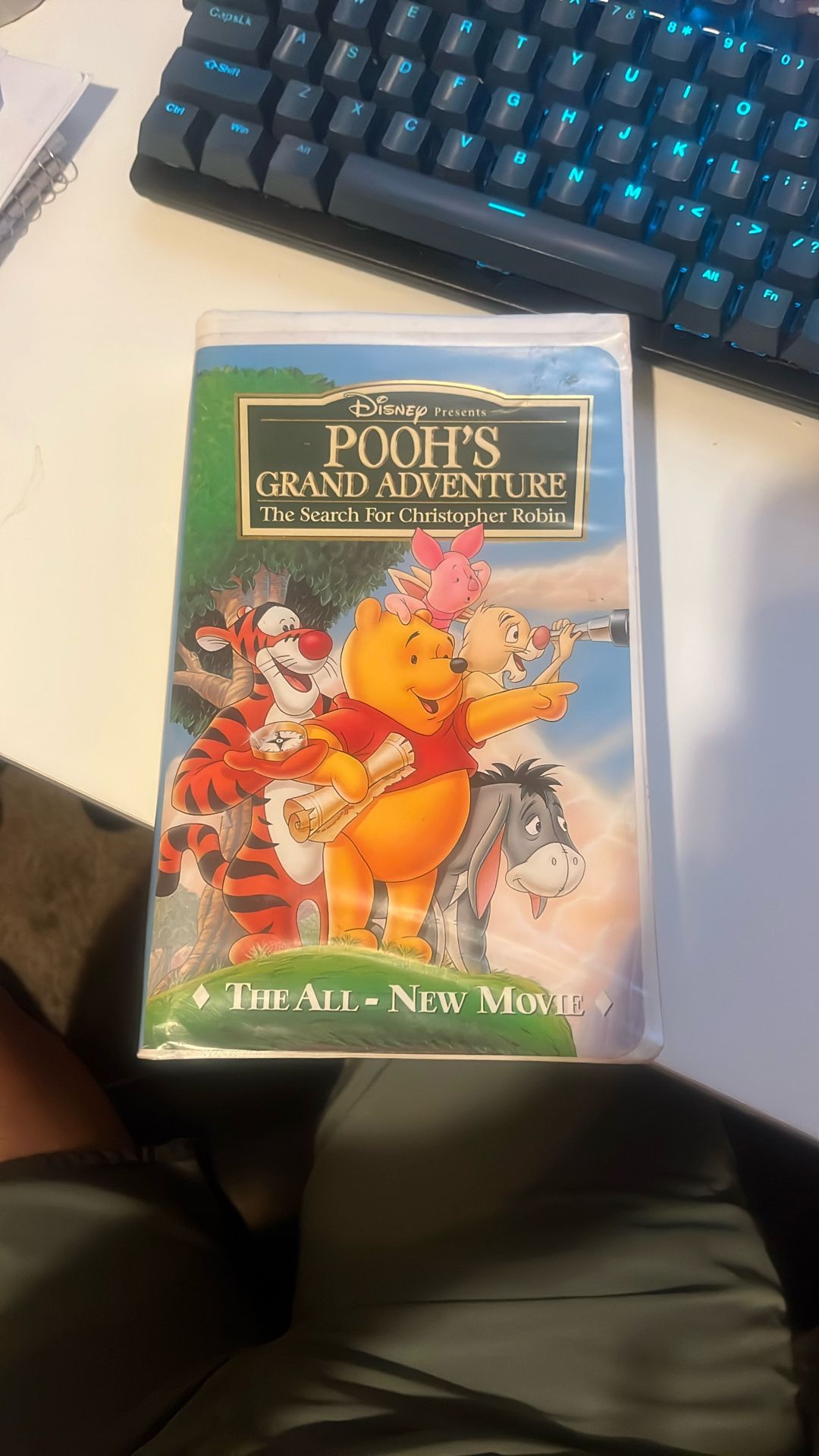Pooh’s Grand Adventure The Search For Christopher Robin