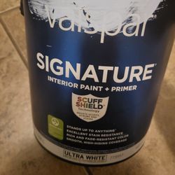 Free Interior Satin Paint 