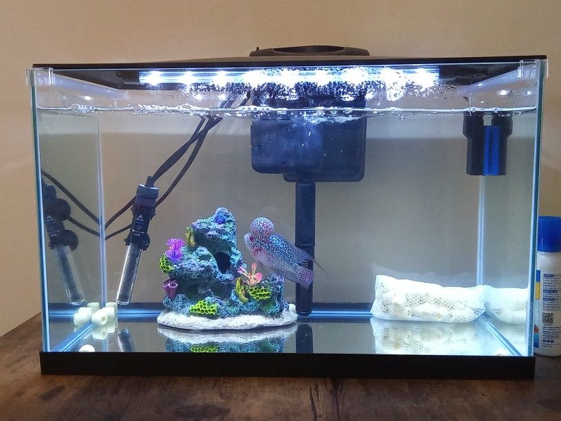 Beutiful 10 Gallon Rimless Low Iron Aquarium With, Filtration, Heater And Bio Media (Fish Not Included)