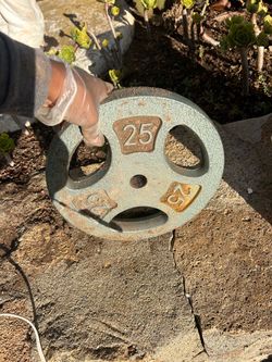 25 lb Cast Iron Weight Plate