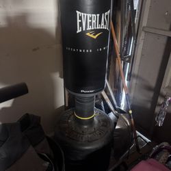EVERLAST Punching Bag Home Gym Equipment Boxing 