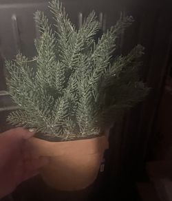 Tabletop  Frosted Christmas Tree Pot 