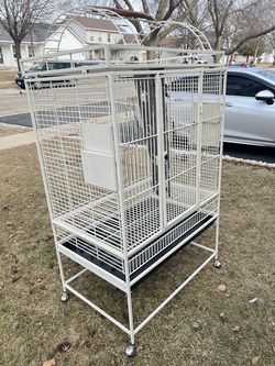 Bird Cage for Sale