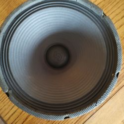 10" Musical Instrument Speaker