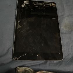 iPad mini 4