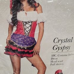Gypsy Halloween Costume 