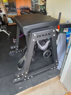 Rogue reverse hyper