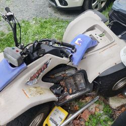 1997 yamaha breeze