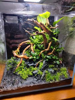 3 Gallon Cube Aquarium  Thumbnail