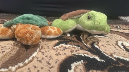 Turtle Plushie 