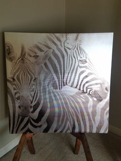 ZEBRAS Picture