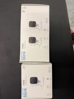 Blink Cameras 