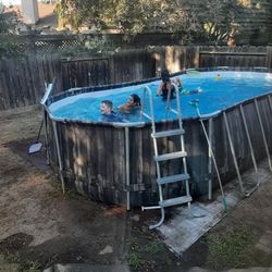It's a 24×12 Pool 