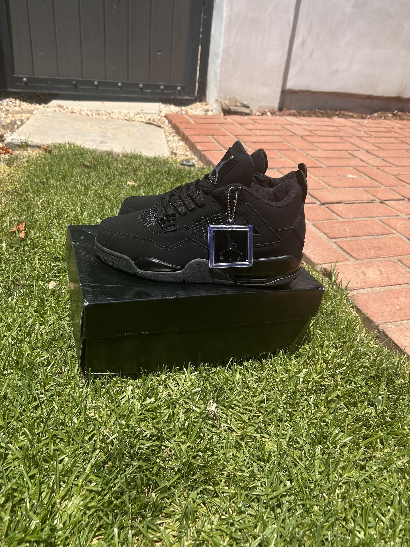 Black cat Jordan 4s