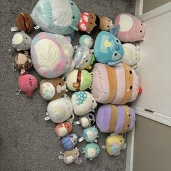 Squishmallow Lot (sold All Together)