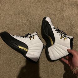 Mens Jordan 12 Size 11.5