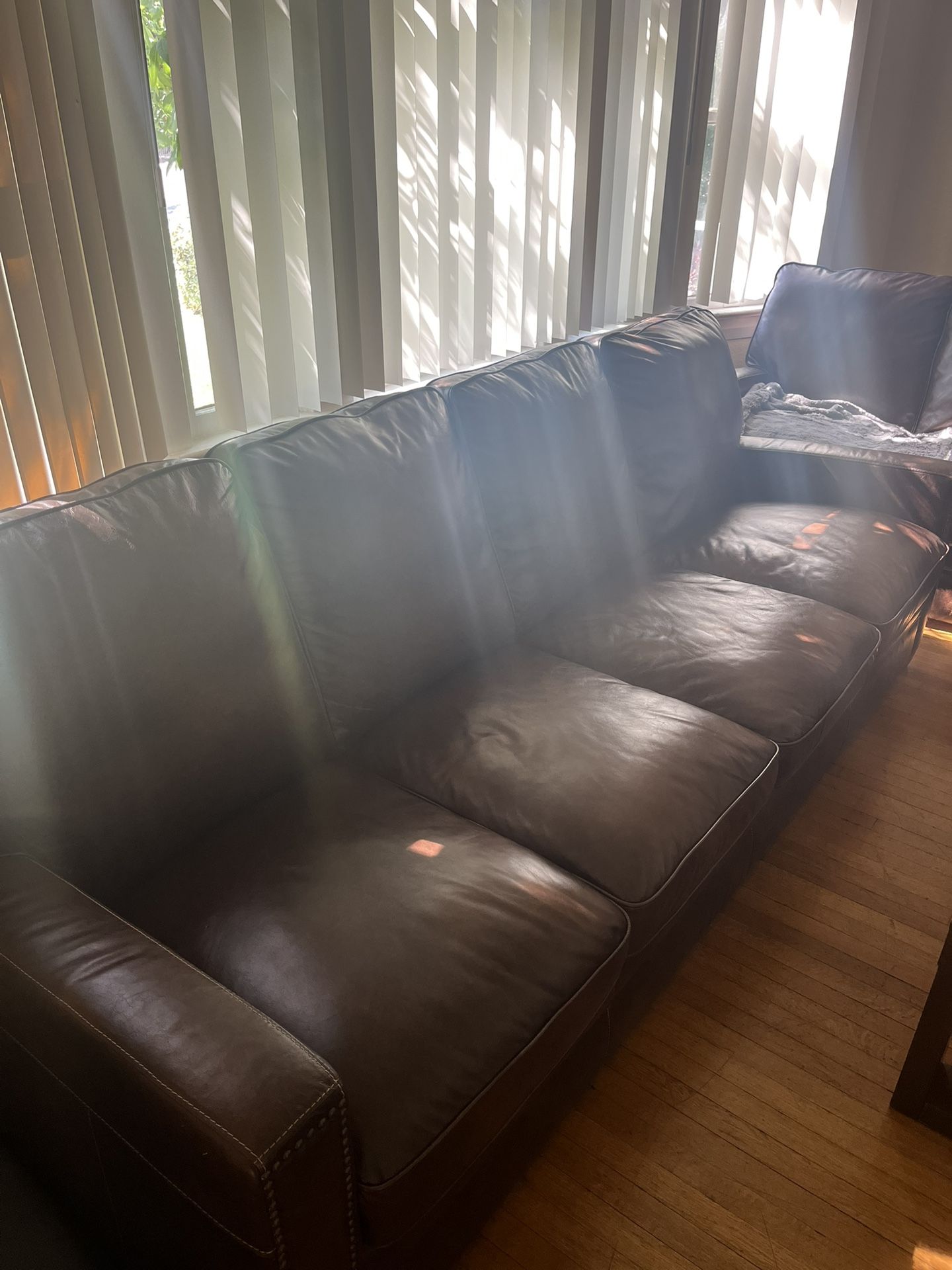 Brown Leather Couches