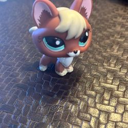 Littlest Pet Shop LPS Authentic Fox 1126 Brown With Tan Chest And Teal Eyes