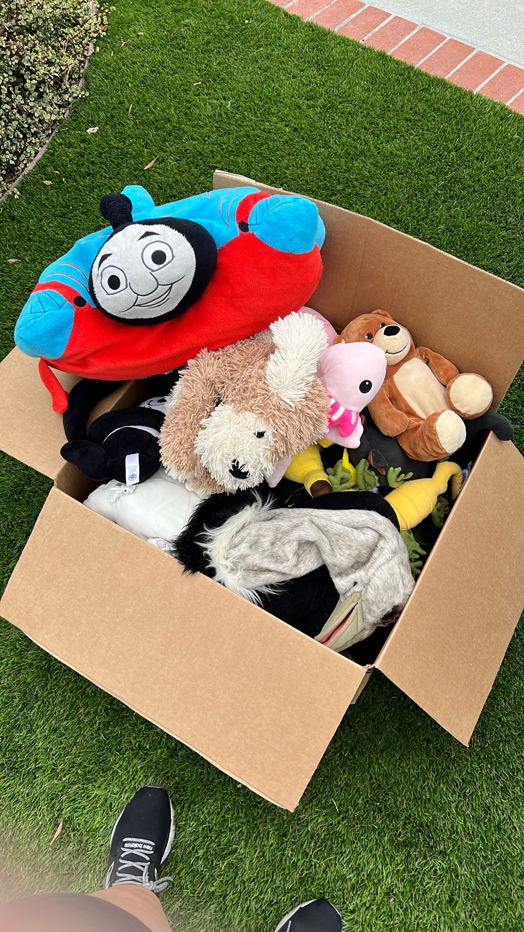 Box Of Plushies